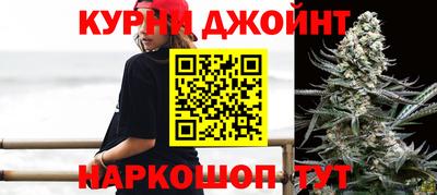 скорость Кингисепп