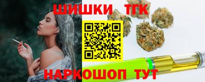 скорость Кингисепп