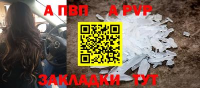 скорость Кингисепп