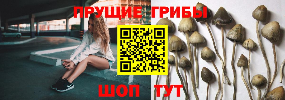 Красноармейск  Галлюциногенные грибы мухоморы  Вход с VPN 