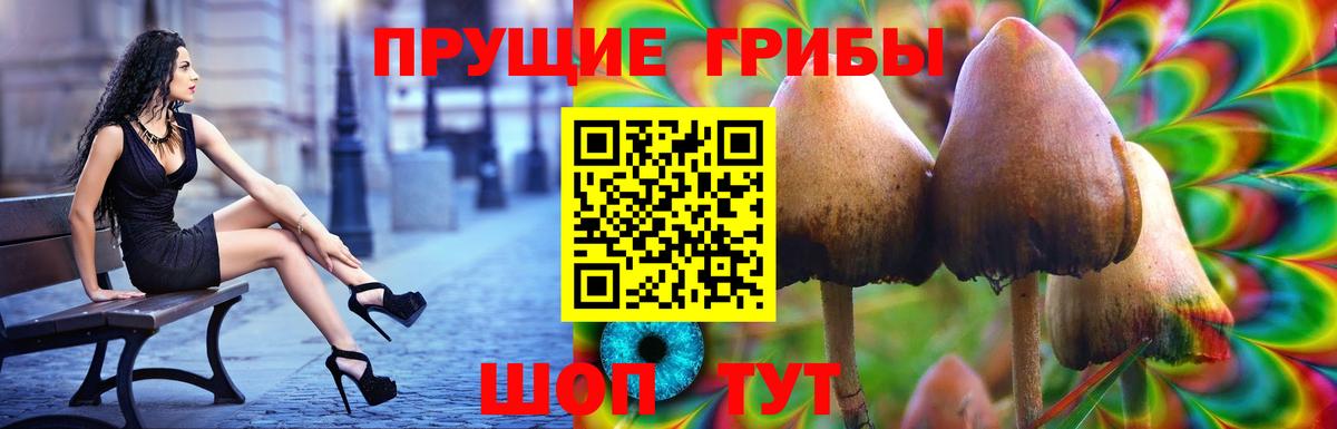 Галлюциногенные грибы Magic Shrooms Красноармейск