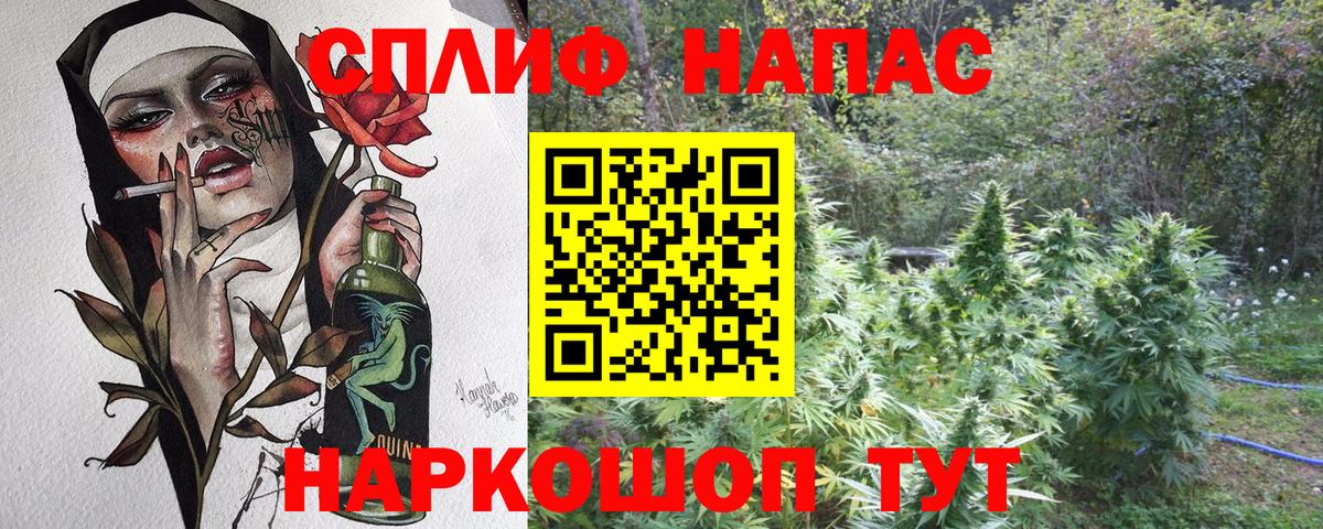 Шишки марихуана White Widow Красноармейск